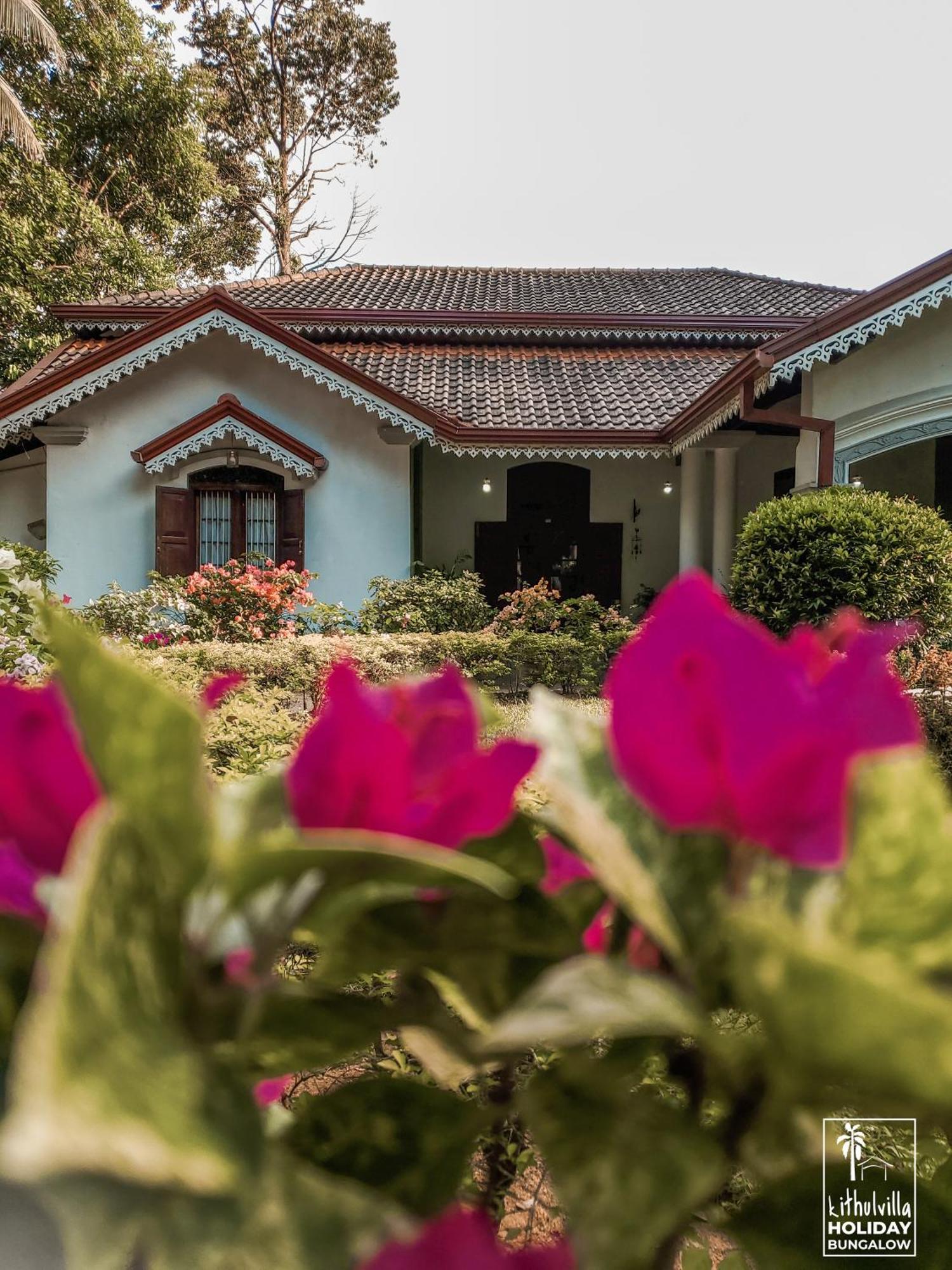 Kithulvilla Holiday Bungalow Kitulgala Exterior photo